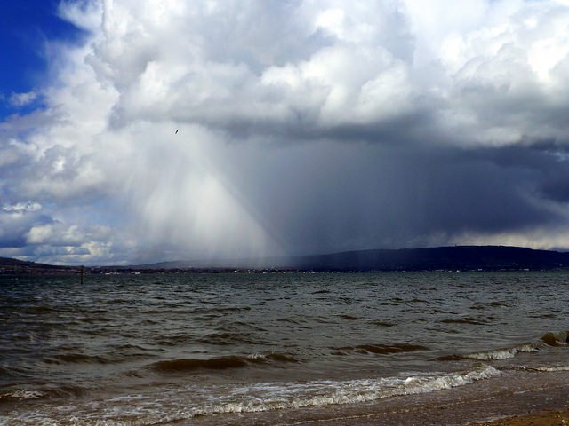 Seapark, Holywood