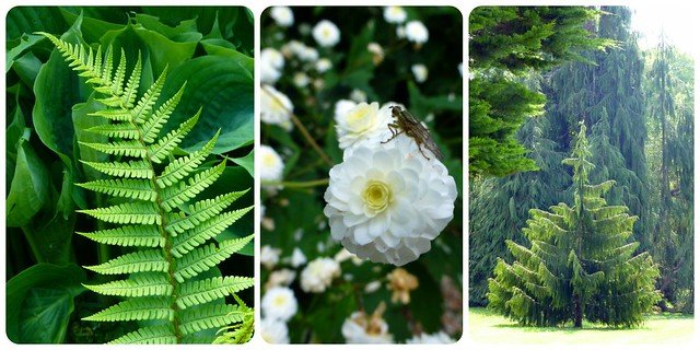 Rowallane National Trust May16