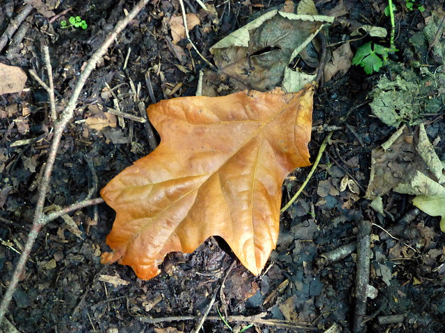 Crawfordsburn Aug16