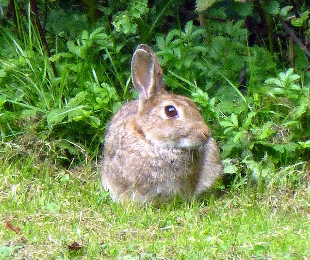 Crawfordsburn Aug16