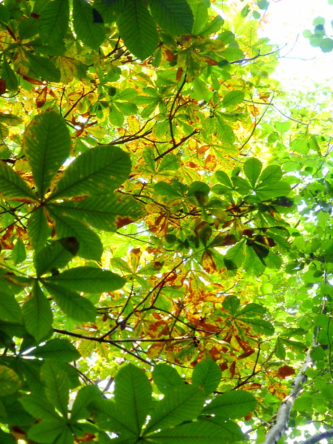 Crawfordsburn Aug16