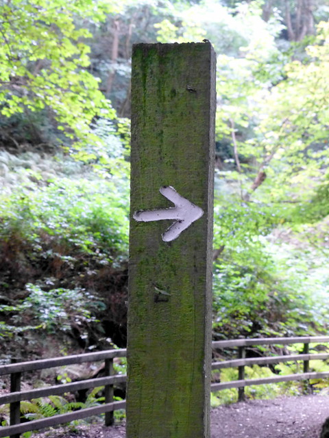 Crawfordsburn Aug16
